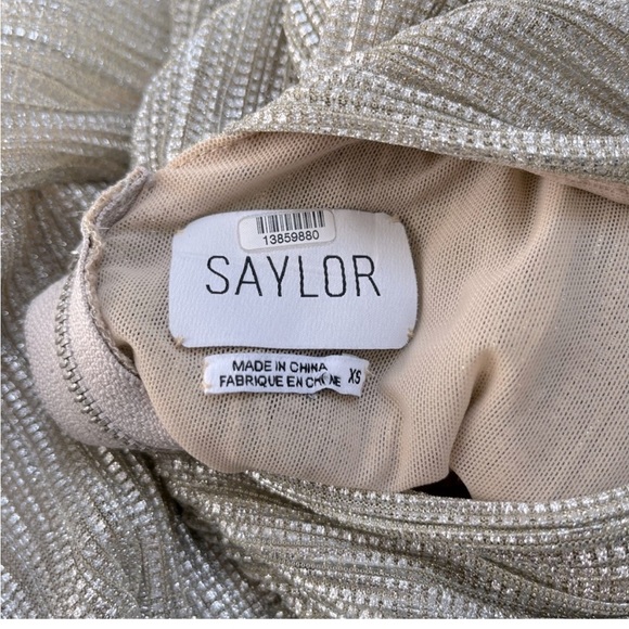 Saylor Saydee platinum dress (Revolve) - Picture 11 of 15